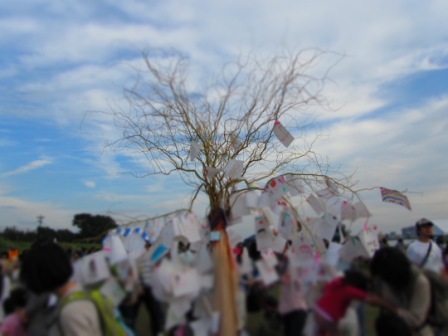 image001